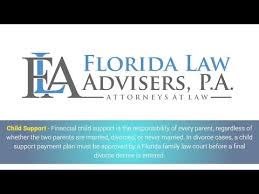 Child Support In Florida Tampa Family Attorney Free