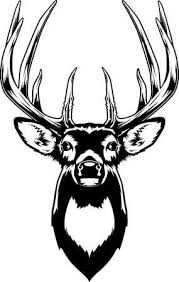 Use these whitetail buck clipart. Resultado De Imagen De Buck Clipart Deer Head Silhouette Deer Drawing Deer Stencil