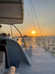 Image result for Bleu 1990 Fleet