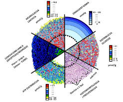Marijana Jukić Protutumorski učinci novih N-9-sulfonilpurinskih derivata in  vitro