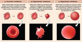 Pin On Teaching Science
