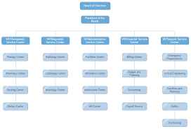 hospital org chart organizational chart business