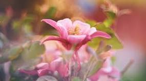 Image result