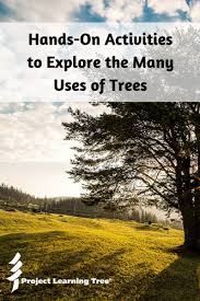 Reading comprehension for elementary level about kids and their daily routines.comprehension exercises and key included. Hands On Activities To Explore The Many Uses Of Trees Project Learning Tree