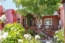 Flowers and grasses, shrubs and trees, lawn grass descriptions and specifications, pictures and. Situated On The Banks Of The River Review Of Gumtree Guest House Oudtshoorn South Africa Tripadvisor
