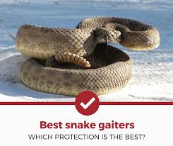 Top 4 Best Snake Gaiters To Buy Now 2019 Review Pest