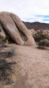 Natura e PORNO - DaiDeGas Forum