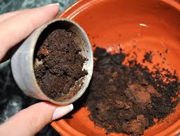 Untuk mengurangi kecemasan mereka, kucing akhirnya menempatan aroma mereka pada sesuatu yang baru dengan kencing di atasnya. 7 Tips Dan Cara Hilangkan Bau Busuk Hapak Dalam Kereta Iluminasi