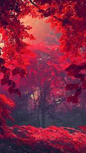 Download beauty 4k hd wallpapers for free to personalize your iphone or android phone. So Very Beautiful Beautiful Scenery Photography Beautiful Nature Wallpaper Scenery Photography