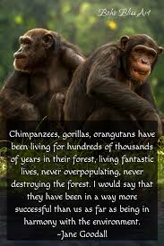 Jane Goodall World Changing Women Boom2bloom Com Jane Goodall Quotes Jane Goodall Save Animals Slogans