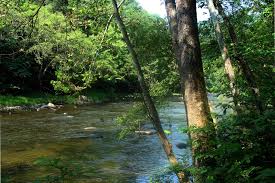 You can reserve five types of facilities at north carolina state parks: 6 Totally Free National Parks In The Mountain State
