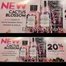 This is why the brand. Life Inside The Page Bath Body Works Wild Wonder Body Care Collection Almond Blossom Cactus Blossom Desert Wildflower