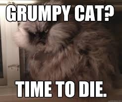 images?q=tbn:ANd9GcQ5ymKaTyF7KGvcMClqwfSZI60dI-Jw7mVVXbGM9d56cswfKaPqYQ