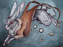 Alice In Wonderland Alice Rabbit Rabbit Art Rabbit Anatomy