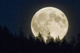 Pixie dust, magic mirrors, and genies are all considered forms of cheating and will disqualify your score on this test! Why Does The Full Moon Look So Large Trivia Questions Quizzclub