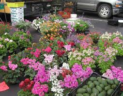 Maybe you would like to learn more about one of these? Hillcrest Farmers Markethillquest