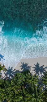 Browse sea ocean waves best iphone wallpaper wallpapers, images and pictures. Download 1125x2436 Wallpaper Beautiful Beach Aerial View Palm Trees Sea Iphone X 1125x2436 Hd Image Background 17336