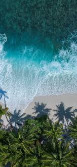 Check spelling or type a new query. Download 1125x2436 Wallpaper Beautiful Beach Aerial View Palm Trees Sea Iphone X 1125x2436 Hd Image Background 17336