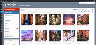 Thanks to its features, modula helps a lot . 8 Best Wordpress Photo Gallery Plugins For 2020 Features Compared