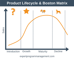 Bcg Matrix Boston Matrix Strategy Training From Epm