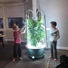 Pump up the visual interest of your yard or garden this season with this garden tower. Aeroponic Garden Tower Home Facebook
