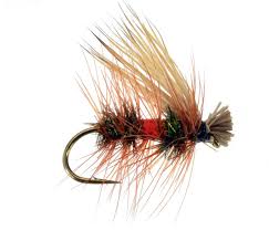 We did not find results for: 5 Flies For The Mother S Day Caddis Hatch Orvis News