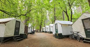 Choose from 19 hotels in yosemite national park with prices starting from usd 40 per night. 25 Best Hotels Near Yosemite National Park