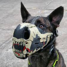 За минувшие сутки погиб один воин, 4 - ранены, - СНБО - Цензор.НЕТ 545