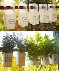Using the scissors, remove the top and handle of the plastic bottle. Indoor Bottle Herb Garden From Recycled Milk Bottles Grillo Designs
