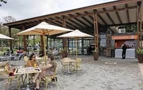 Image result for Acacia rovumae