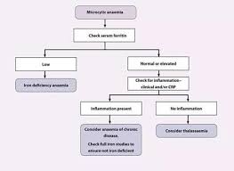 Pin On Clinical Laboratories Science