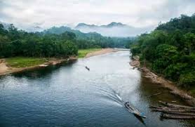 Menariknya lagi, abon ikan ini juga awet tahan lama. Goriau Dilarang Meracun Dan Menyetrum Ikan Di Sungai Kampar Jika Melanggar Akan Dipenjara Dan Didenda