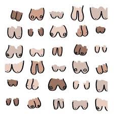 This makes flickr one of the most abused sites on the web. Free Images Flickr