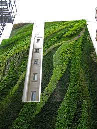 Rue D Alsace Paris Mai 08 Jpg 2598 3465 Vertical Garden Landscape Design Green Architecture