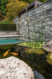 Koi Teich Elegante Tiere Neben Dem Pool Schwimmteich Pool Brunnen Teich