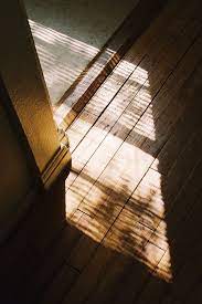 Pin By Brenna H On Walworth Sentiments Shadow Light And Shadow Photography