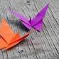 Origami - the colorful world of folding event image