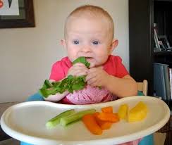 Dabei handelt es sich allerdings um mittelwerte. Baby Led Weaning Blw Februar 2014 Babyclub Babycenter