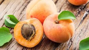 They're also low in calories and high in fiber, which is good for your dog's stomach. Can Dogs Eat Apricot Healthy Paws Pet Insurance