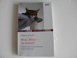 Ordnungsgemäßes anbringen und viele tipp's und tricks rund um das richtige plakatieren. Katze Vermisst Was Tun Wenn Die Katze Vermisst Wird Katze Net Hilft