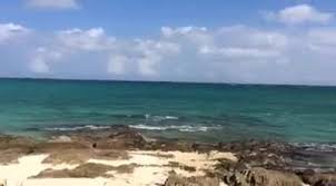 Glass bottom boat rides are also available from where tourists can see these turtles, beautiful coral gardens, and endless varieties of. Sea Glass Okinawa Home Facebook