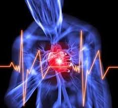 Causes Of Fluttering Heartbeat After Lying Down Scary Symptoms Herbalism In A Heartbeat Signs Of Heart Attack