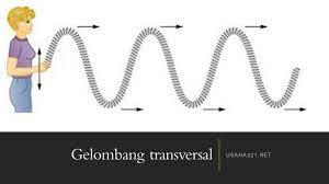 Gelombang radio termasuk gelombang transversal atau longitudinal. Pengertian Gelombang Transversal Dan Contoh Gelombang Transversal Usaha Tiga Dua Satu