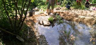 How To Build A Natural Pond | Svarttorpet