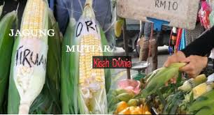 Tawaran adalah dipelawa daripada warganegara malaysia yang berkelayakan untuk memohon bagi mengisi jawatan kosong di kementerian sumb. Video Peniaga Ini Dedah 2 Cara Untuk Kenal Pasti Jagung Tiruan Yang Dijual Di Cameron Highland Kisah Dunia