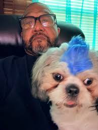 Shih tzu prefers neck and shoulders for naps