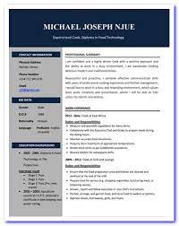 12 nigeria cv sample pdf resume package regarding cv template. Prepare Cv Cv Examples