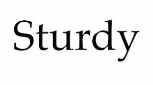 Record yourself saying 'sturdy' in full sentences, then watch yourself and listen. How To Pronounce Sturdy Youtube