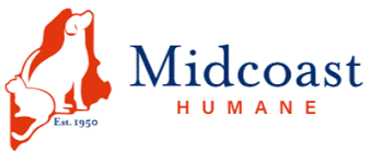 Maybe you would like to learn more about one of these? Midcoast Humane Midcoast Humane