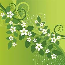 Beautiful Jasmine Flowers And Green Swirls On Green Background Seamless Wallpaper Flower Images Green Backgrounds
